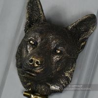 Close-up of the the Corgi"s Face