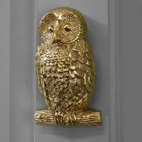 Polished Brass Owl Door knocker on Grey door Polished Brass Owl Door knocker on Grey door