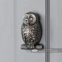 Owl Door Knocker in Situ on a Door
