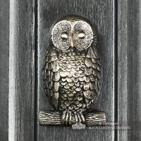Antique Pewter Owl Door Knocker on a Dark Grey Door
