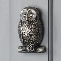 Antique Pewter Owl Door Knocker in Situ on a Door
