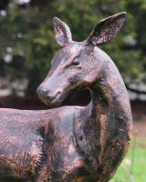"Autumn" the Cast Aluminium Gazing Doe Positioned on a Grass Lawn with a Close up Shot of the Head