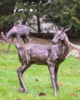 "Autumn" the Cast Aluminium Gazing Doe Positioned on a Grass Lawn with Hand in Shot for Scale