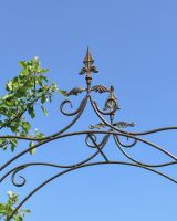 Close up of intricate detail on garden rose arch