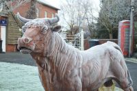 "Devonshire" Bull Garden Sculpture