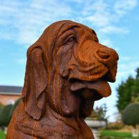 Upper Body Detailing of Rustic Sitting Bloodhound Garden Sculpture Upper Body Detailing of Rustic Sitting Bloodhound Garden Sculpture