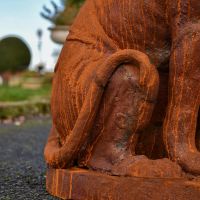 Close-Up of Tail Close-Up of Tail