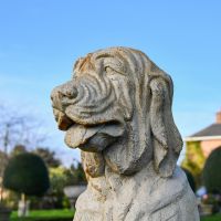 Upper Body Detailing Upper Body Detailing