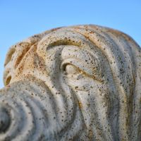 Extreme Close-Up of Face Detail on Bloodhound Garden Sculpture Extreme Close-Up of Face Detail on Bloodhound Garden Sculpture