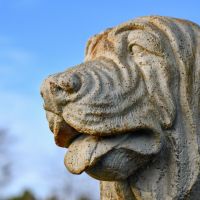 Close-Up of Face Detailing Close-Up of Face Detailing