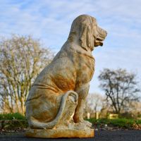 Side View of Cream Sitting Bloodhound Garden Sculpture Side View of Cream Sitting Bloodhound Garden Sculpture