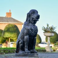 Black Sitting Bloodhound Garden Sculpture in Situ