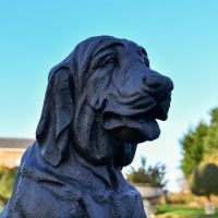 Upper Body Detailing