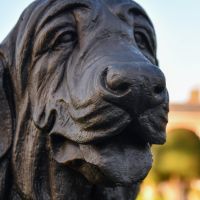 Close-Up of Face Detailing