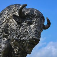 Close up of face on Tatanka Bison Garden Sculpture 