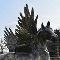 Close up of winged horse 