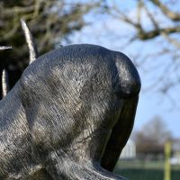 Rear of Elk Sculpture 