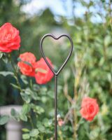 Love Heart Natural Steel Plant Support- 5FT close up