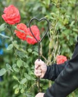 Love Heart Natural Steel Plant Support- 5FT Main