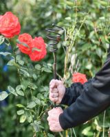 Spiral natural steel plant support - 5ft Main