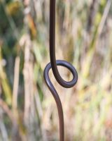 Butterfly Natural Steel Plant Support - 5FT support detailing