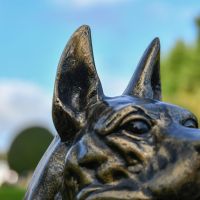 Close-Up of Antique Gold Finish Close-Up of Antique Gold Finish