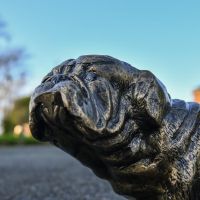 Low Angle Close-Up of Face Low Angle Close-Up of Face