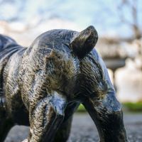 Behind of Pug Standing Sculpture in an Antique Gold Finish Behind of Pug Standing Sculpture in an Antique Gold Finish