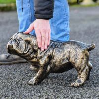 Pug Standing Sculpture in an Antique Gold Finish to Scale Pug Standing Sculpture in an Antique Gold Finish to Scale