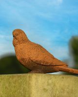 Rustic Cast Iron Bird Garden Sculpture 