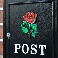 Close up of hand painted red rose Close up of hand painted red rose