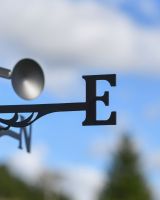 Steel Robin On Branch Weathervane East arm