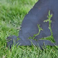 Garden Silhouette of Cockapoo 