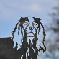 Close up of Metal Cavalier King Charles Close up of Metal Cavalier King Charles