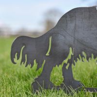 Close up of Cavalier King Charles Tail Close up of Cavalier King Charles Tail