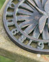 Close up of Aged Iron Verdigris Dragonfly 