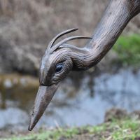 Close up of Crane Face