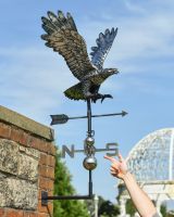 Scale image of polished steel weathervane