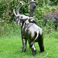 View of the Back of the Elephant