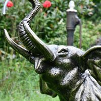 Close-up of the Face of the Elephant Calf Water Fountain
