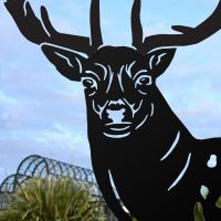 Close up of face on Fallow Buck Silhouette  Close up of face on Fallow Buck Silhouette