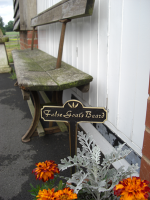 False Goats Beard Brass Garden Plant Sign