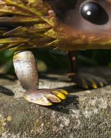 Close up of feet detail on steel hedgehog garden ornament Close up of feet detail on steel hedgehog garden ornament