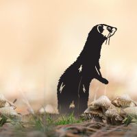 Standing Ferret Silhouette in Situ
