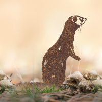 Standing Ferret Silhouette in Situ