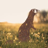 Standing Ferret Silhouette in Situ in the Garden