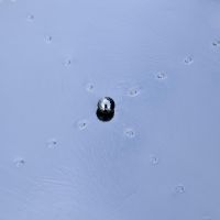 Close up of steel lid and ball handle Close up of steel lid and ball handle