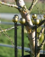 Top Details Of The Wrought Iron Traditional "Fernhill" Black Tree Guard Top Details Of The Wrought Iron Traditional "Fernhill" Black Tree Guard