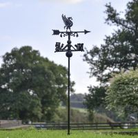 Liver Bird Free Standing Weathervane in the garden