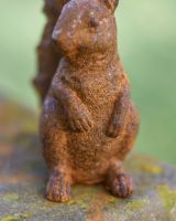 Close up of face on rustic finish wildlife garden statue